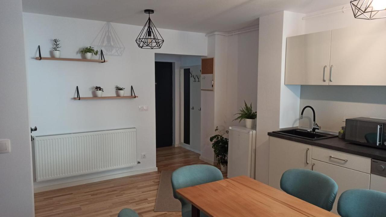 Ferienwohnung Chrysanthemum Sighişoara Exterior foto